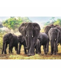 Elephants puslespil 1000 brikker